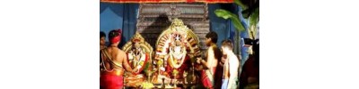 232. திருப்பாதிரிப் புலியூர்